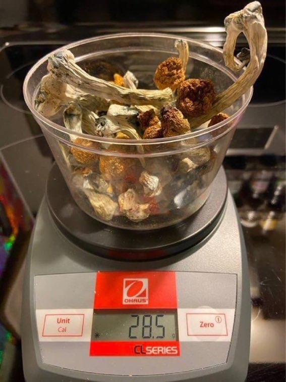 dried-shrooms-scaled-1.jpeg Pilze