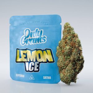 Lemon Ice - Superior Blüte 40%