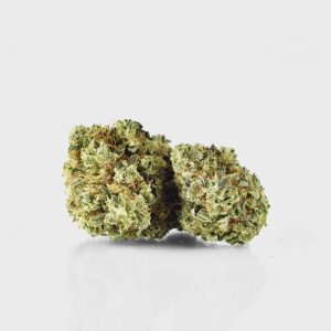 🍍 Pina Paff 20% CBD by Plusmacher